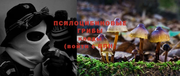 mix Каменка