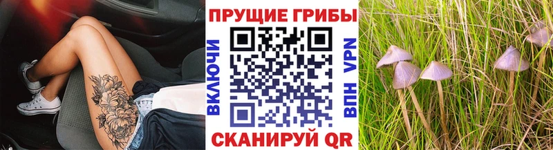Галлюциногенные грибы Cubensis  Купить где  Мамадыш 